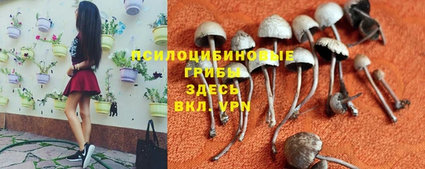 кокаин Алексеевка