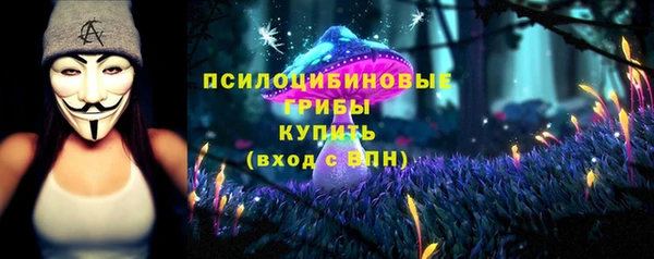 spice Нягань